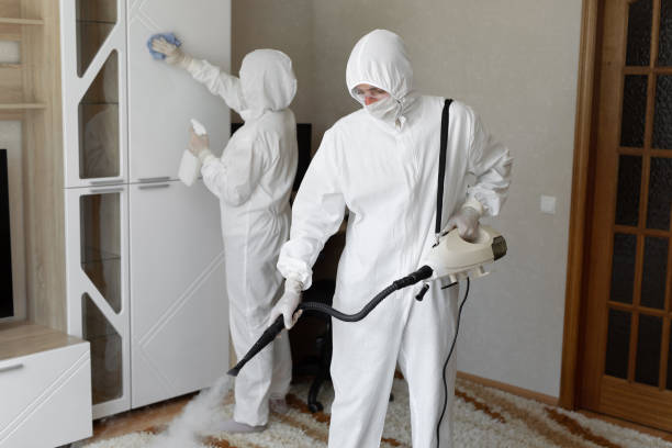 Affordable Sewage Cleanup solutions in London, OH